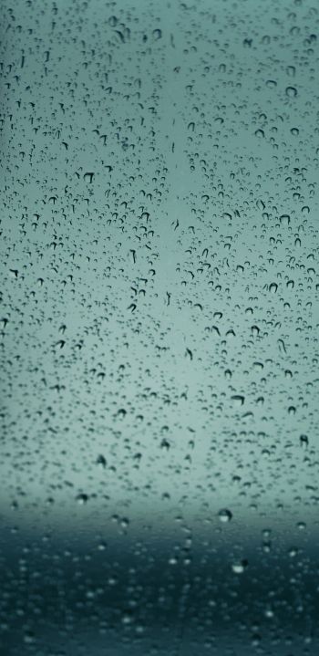 drops, glass, rain, window Wallpaper 1440x2960