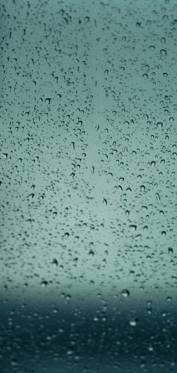 drops, glass, rain, window Wallpaper 1440x3040