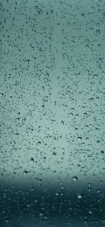 drops, glass, rain, window Wallpaper 1170x2532