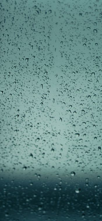 drops, glass, rain, window Wallpaper 1080x2340