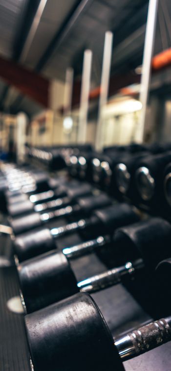 dumbbell, sports hall. force, iron Wallpaper 828x1792