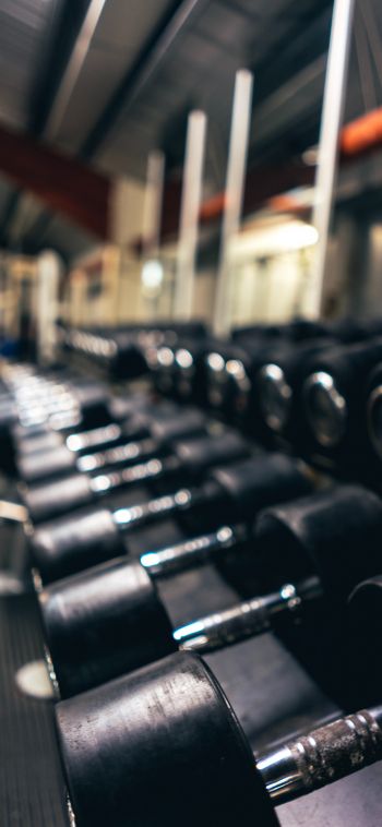 dumbbell, sports hall. force, iron Wallpaper 1080x2340