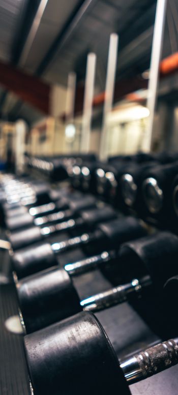 dumbbell, sports hall. force, iron Wallpaper 1440x3200