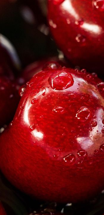 cherry, drops Wallpaper 1080x2220