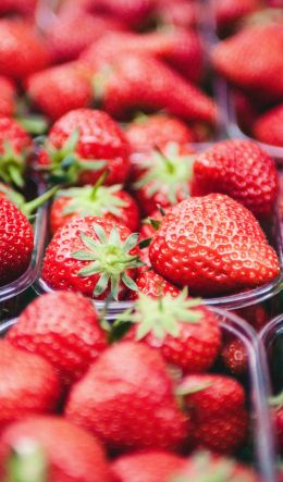 strawberry, berry, red, summer Wallpaper 600x1024