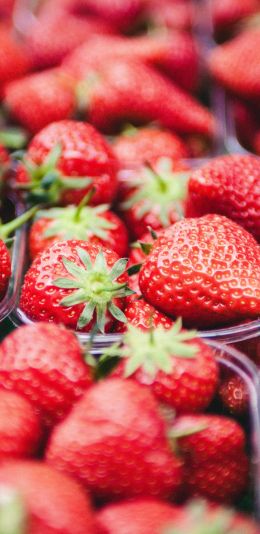 strawberry, berry, red, summer Wallpaper 1080x2220