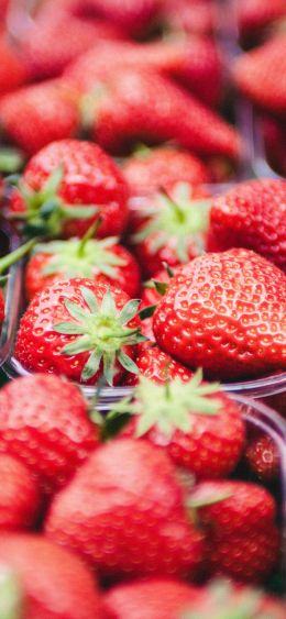strawberry, berry, red, summer Wallpaper 1080x2340