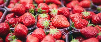strawberry, berry, red, summer Wallpaper 3440x1440