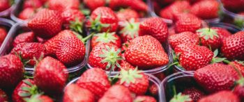 strawberry, berry, red, summer Wallpaper 2560x1080