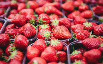 strawberry, berry, red, summer Wallpaper 2560x1600