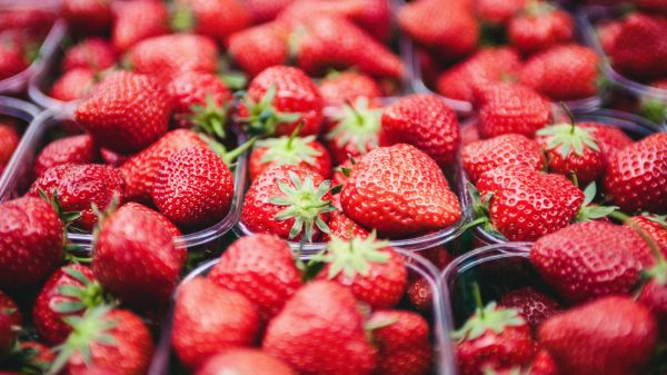 strawberry, berry, red, summer Wallpaper 3840x2160