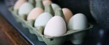 health, eggs, breakfast, healthy food Wallpaper 3440x1440