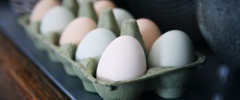health, eggs, breakfast, healthy food Wallpaper 2560x1080