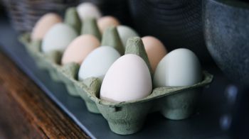 health, eggs, breakfast, healthy food Wallpaper 2048x1152