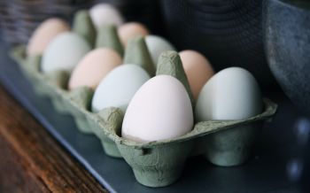 health, eggs, breakfast, healthy food Wallpaper 2560x1600