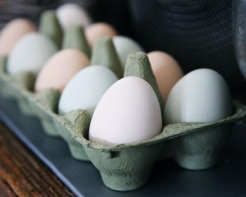 health, eggs, breakfast, healthy food Wallpaper 1280x1024