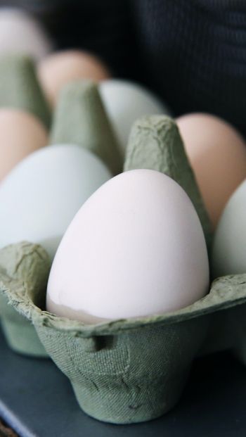 health, eggs, breakfast, healthy food Wallpaper 640x1136