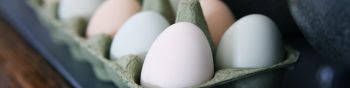 health, eggs, breakfast, healthy food Wallpaper 1590x400