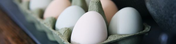 health, eggs, breakfast, healthy food Wallpaper 1590x400