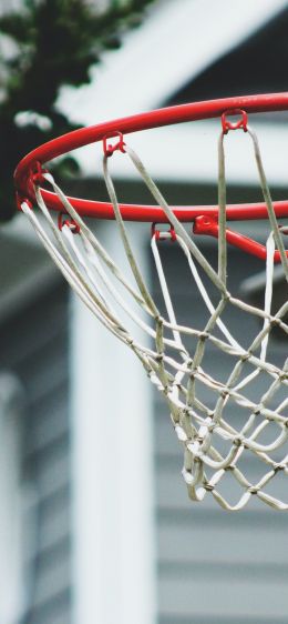 basketball hoop, sport, game, basketball Wallpaper 1284x2778