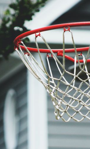 basketball hoop, sport, game, basketball Wallpaper 1200x2000