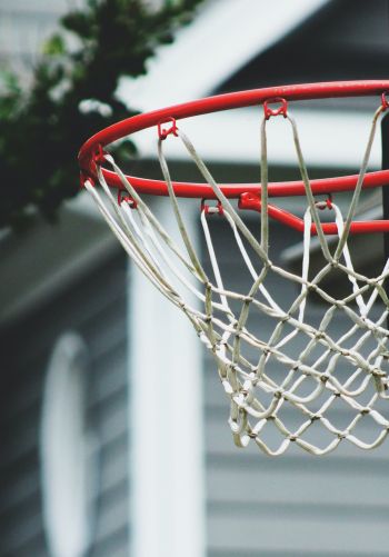 basketball hoop, sport, game, basketball Wallpaper 1668x2388