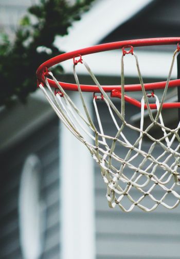basketball hoop, sport, game, basketball Wallpaper 1640x2360