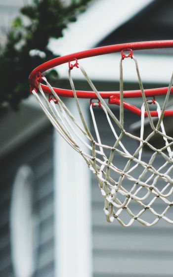basketball hoop, sport, game, basketball Wallpaper 1200x1920