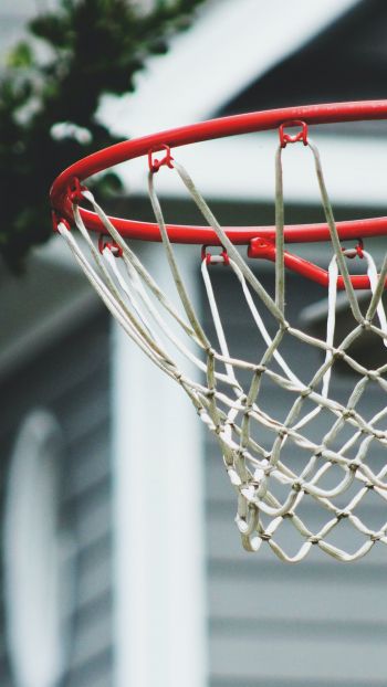 basketball hoop, sport, game, basketball Wallpaper 750x1334
