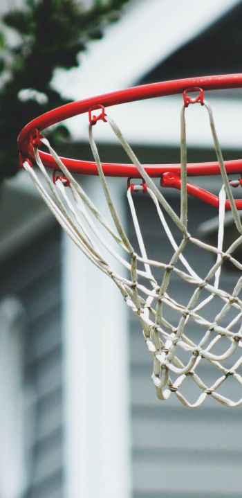 basketball hoop, sport, game, basketball Wallpaper 1080x2220