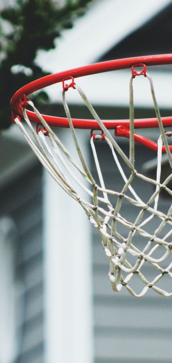 basketball hoop, sport, game, basketball Wallpaper 1440x3040
