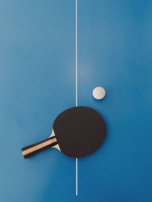 table tennis, sport, racket, leisure Wallpaper 2940x3920