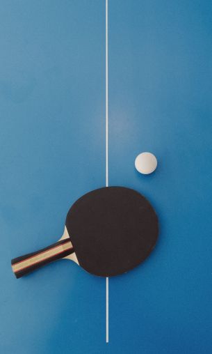 table tennis, sport, racket, leisure Wallpaper 1200x2000