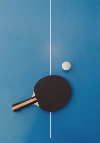 table tennis, sport, racket, leisure Wallpaper 1668x2388