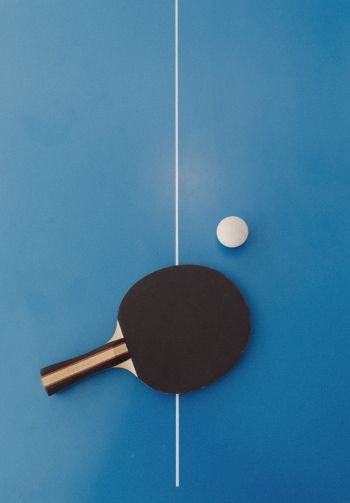 table tennis, sport, racket, leisure Wallpaper 1640x2360