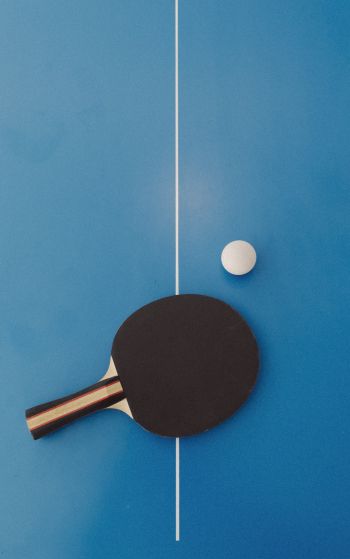 table tennis, sport, racket, leisure Wallpaper 1752x2800