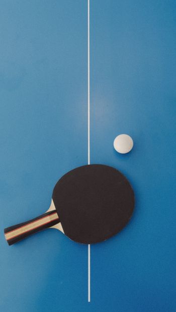 table tennis, sport, racket, leisure Wallpaper 1440x2560