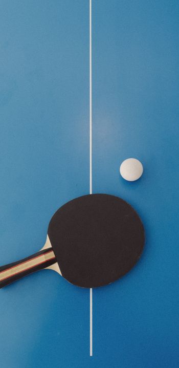 table tennis, sport, racket, leisure Wallpaper 1080x2220