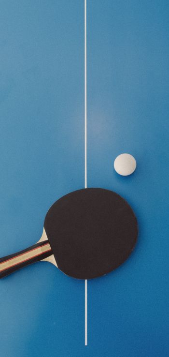 table tennis, sport, racket, leisure Wallpaper 1440x3040