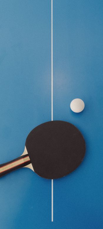 Обои 1440x3200 настольный теннис, спорт, ракетка, досуг