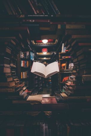 library, book, knowledge, read, hobby Wallpaper 4000x6000