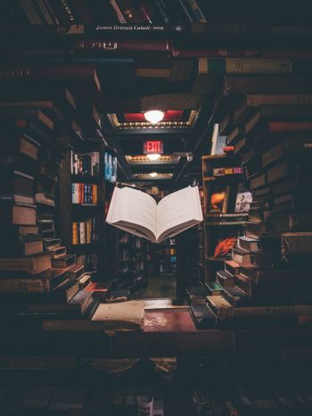 library, book, knowledge, read, hobby Wallpaper 1668x2224