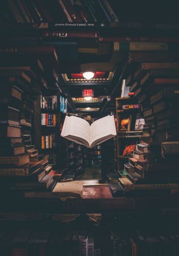 library, book, knowledge, read, hobby Wallpaper 1668x2388