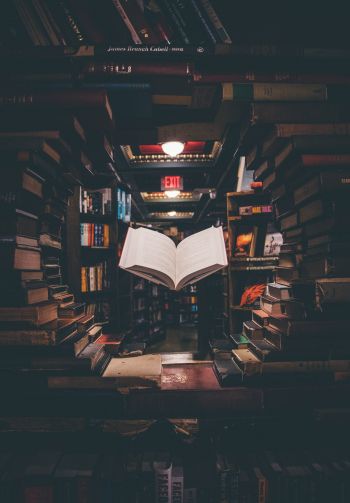library, book, knowledge, read, hobby Wallpaper 1640x2360