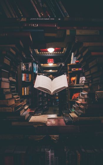library, book, knowledge, read, hobby Wallpaper 1752x2800