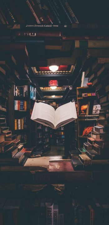 library, book, knowledge, read, hobby Wallpaper 1440x2960
