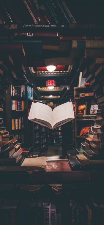 library, book, knowledge, read, hobby Wallpaper 1242x2688