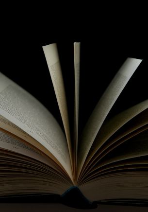 open book, book, pages Wallpaper 1668x2388