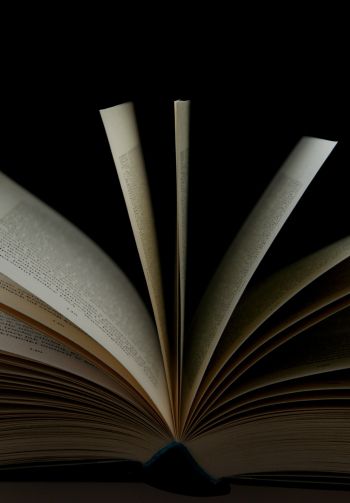 open book, book, pages Wallpaper 1640x2360