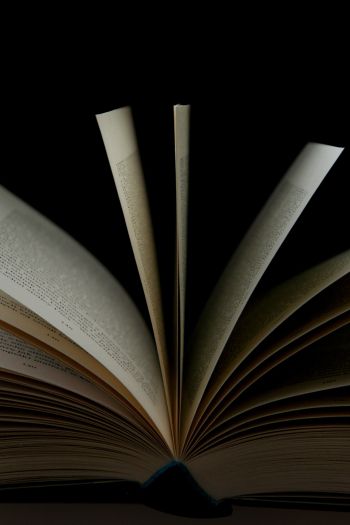 open book, book, pages Wallpaper 640x960